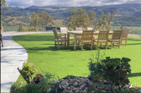 Spectacular vineyard views
